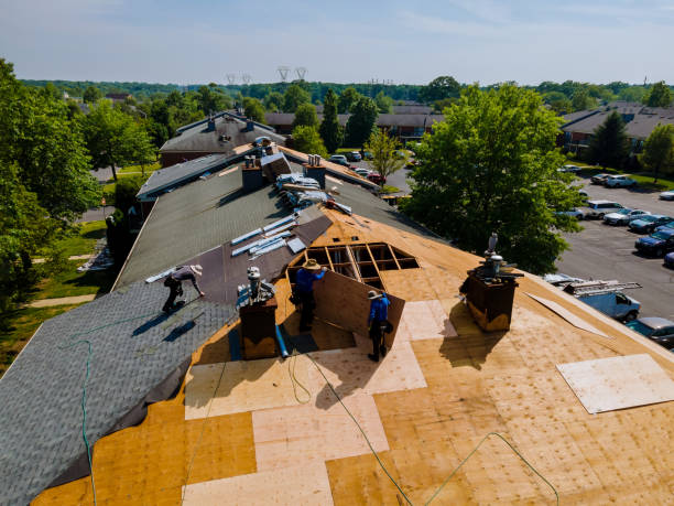 Best Commercial Roofing Services  in Fenton, MI
