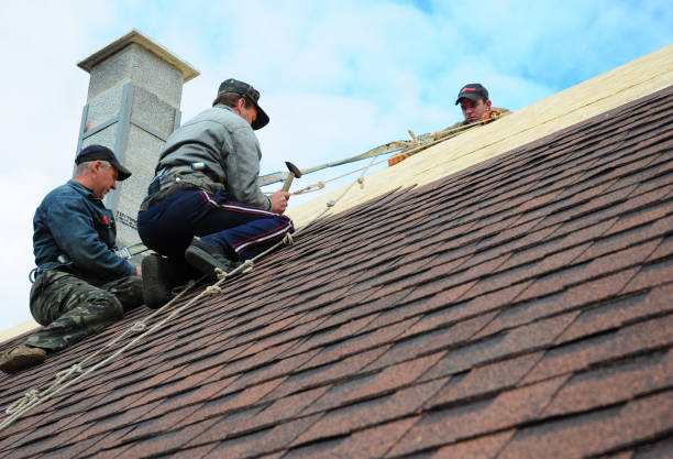 Best Roofing Contractor Near Me  in Fenton, MI